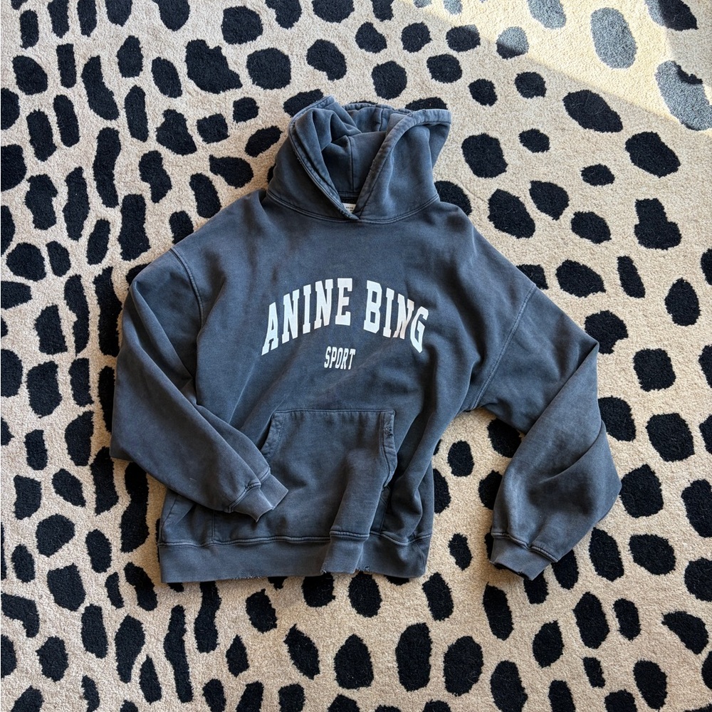 Anine Bing Charcoal Sport Hoodie